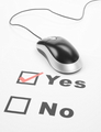 Online Survey