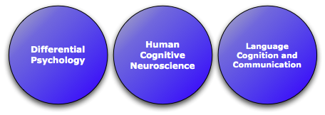 Research groups